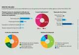Infográfico - Direitos violados